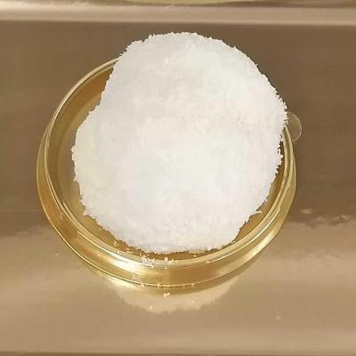 1 mini tete de coco 1 1